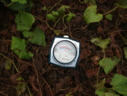 Tancapkan Alat, Hasil Langsung Muncul! Ini Cara Praktis TEP UI Mangoli Identifikasi Tanah