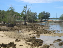 Potensi Desa Lelyaba Tersendat Akibat Jalan Rusak, TEP UI Mangoli Lakukan Kajian