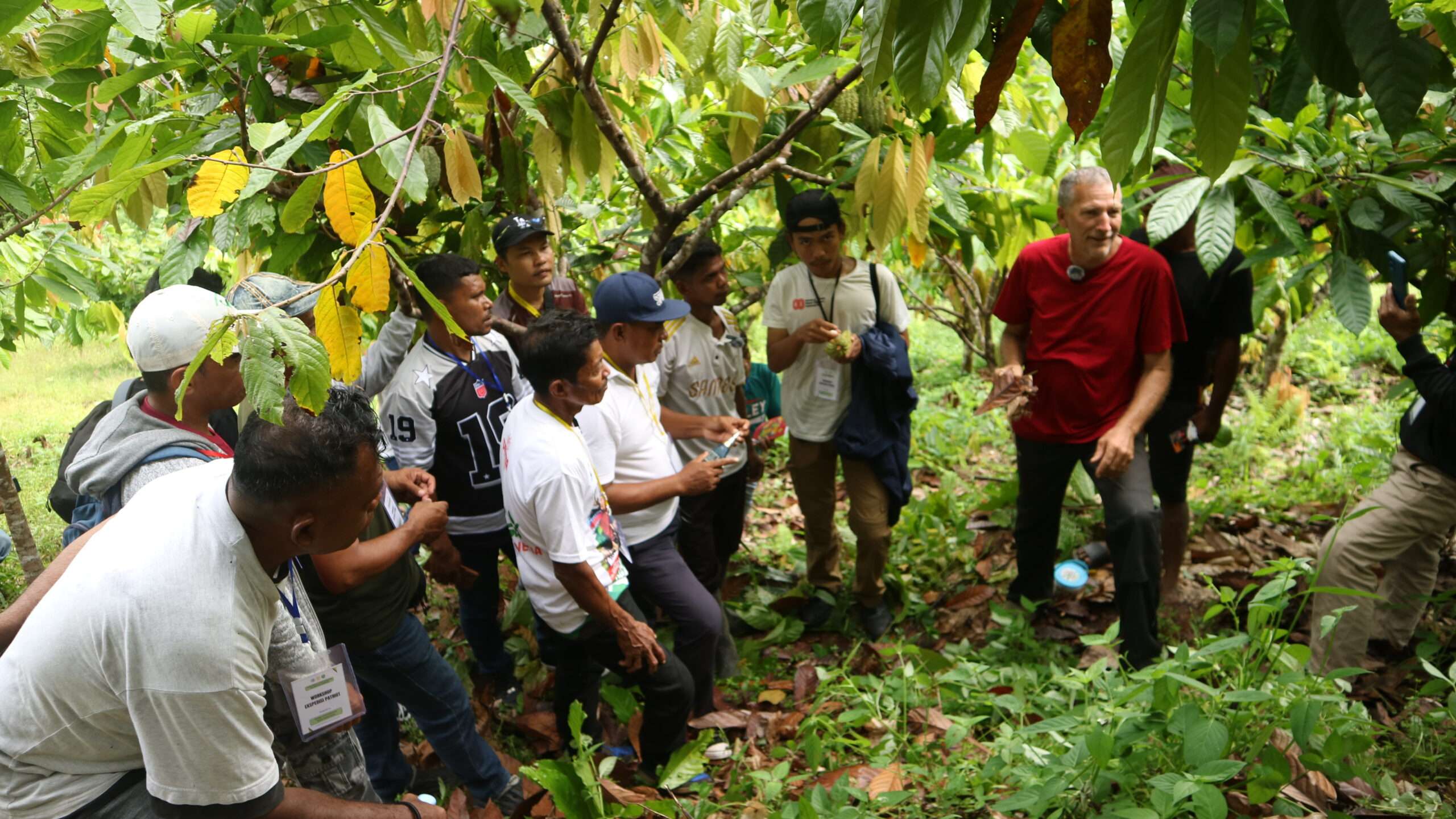 Perwakilan 17 Desa Kawasan Transmigrasi Mangoli, Praktek Budidaya Tanaman Kakao dan Pengendalian Hama Alami