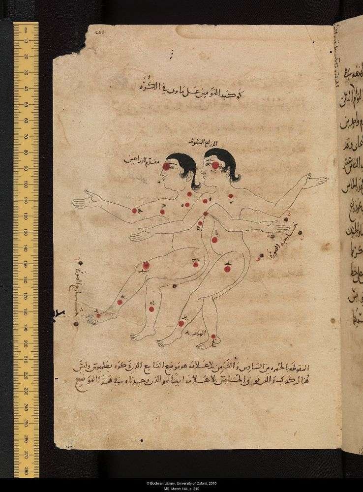 Manuskrip Kitab Bintang Tetap Al-Sufi