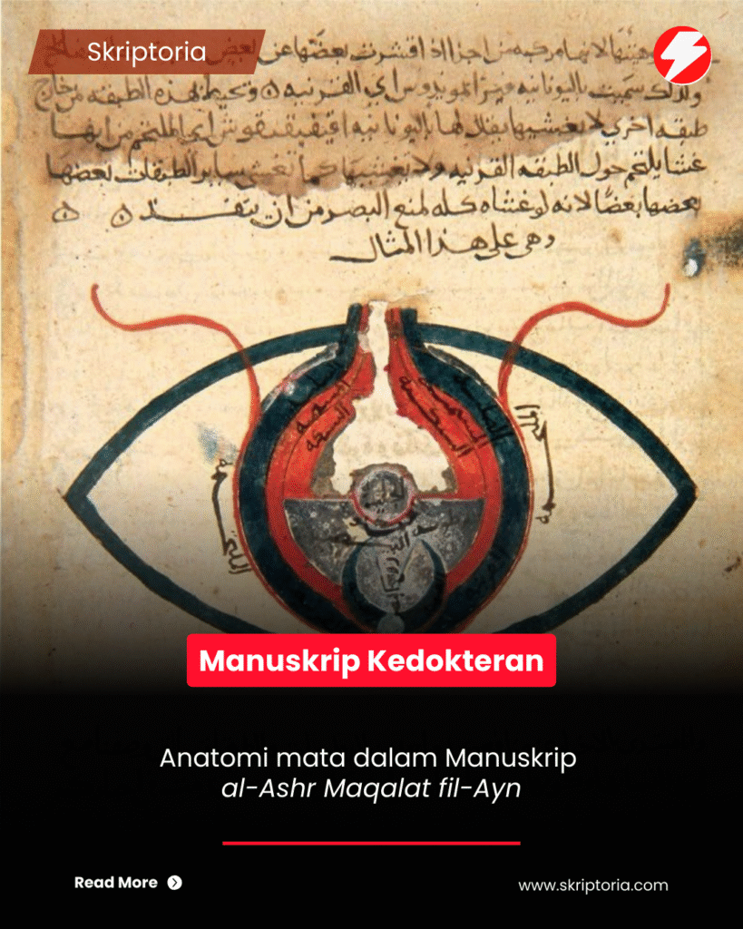 Anatomi Mata dalam Manuskrip Kedokteran Islam Klasik