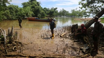 Menembus Rawa dan Lumpur Buluhaya, TEP UI Temukan Akses Laut Berbahaya dan Jalan Putus