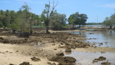 Potensi Desa Lelyaba Tersendat Akibat Jalan Rusak, TEP UI Mangoli Lakukan Kajian