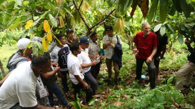 Perwakilan 17 Desa Kawasan Transmigrasi Mangoli, Praktek Budidaya Tanaman Kakao dan Pengendalian Hama Alami