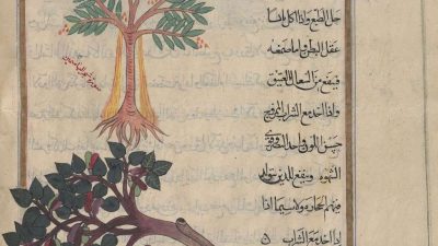 Beasiswa Studi Timur Tengah dan Islam di Perpustakaan Umum New York