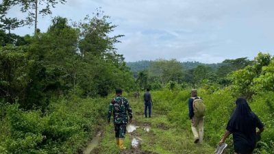 Akses, Sumber Daya Manusia, Modernisasi: Kabar dari Mangoli Utara