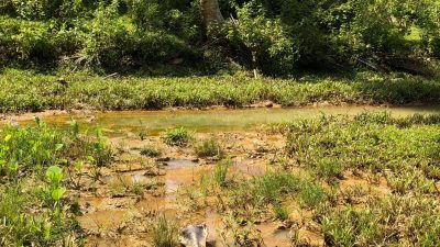 Aksesibilitas Zona Merah, Mungkinkah Menteri Transmigrasi Kunker ke Mangoli?