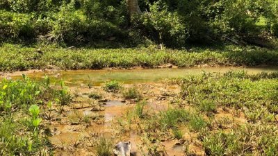 Aksesibilitas Zona Merah, Mungkinkah Menteri Transmigrasi Kunker ke Mangoli?