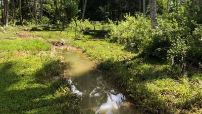 Menteri Transmigrasi Sarankan Hilirisasi, Mampukah Ekonomi Transmigrasi Mangoli Tumbuh, Tanpa Jalan?