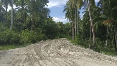 ‘Gadis Manis’ di Persimpangan Tambang Kawasan Transmigrasi Mangoli: Desa Minaluli