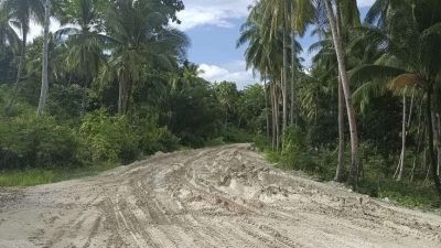 ‘Gadis Manis’ di Persimpangan Tambang Kawasan Transmigrasi Mangoli: Desa Minaluli